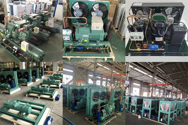 product-600-400 bitzer condensing unit